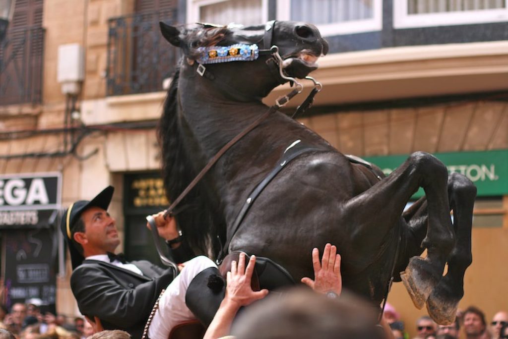jaleo mahon fiestas mare de deu de gracia mao menorca septiembre